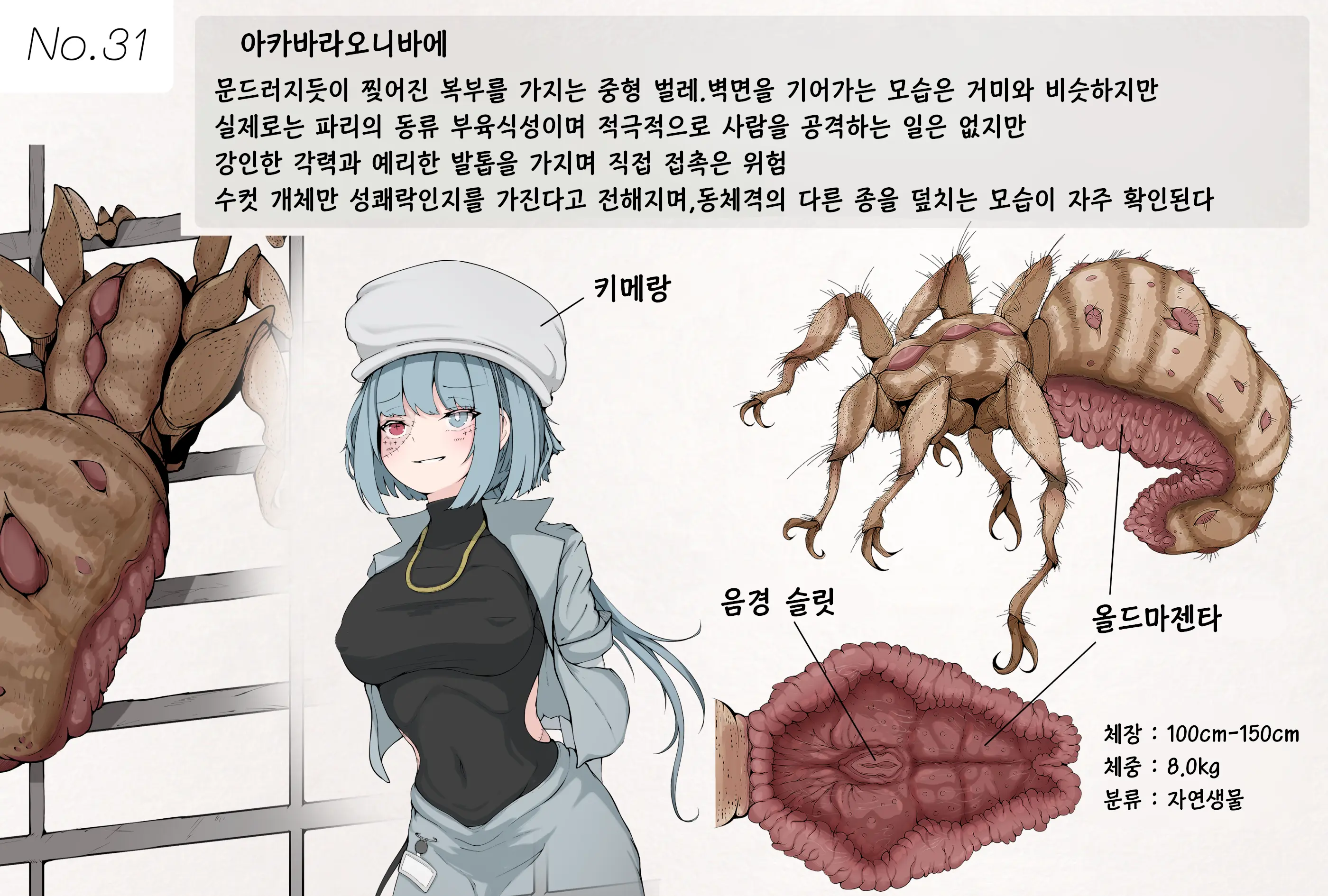 Insect Research Report No.31